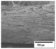 Polymers 15 04164 i032