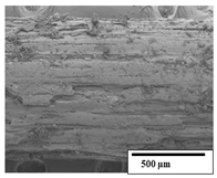 Polymers 15 04164 i033