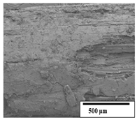 Polymers 15 04164 i036