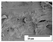 Polymers 15 04164 i039