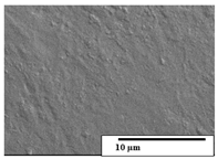 Polymers 15 04164 i040
