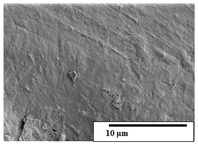 Polymers 15 04164 i041