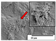 Polymers 15 04164 i042