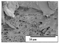 Polymers 15 04164 i044