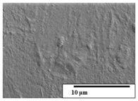 Polymers 15 04164 i046