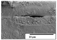 Polymers 15 04164 i047