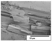 Polymers 15 04164 i048