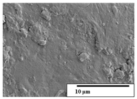 Polymers 15 04164 i049