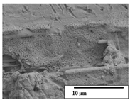 Polymers 15 04164 i051