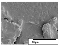 Polymers 15 04164 i052