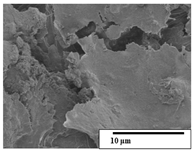 Polymers 15 04164 i053
