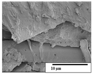 Polymers 15 04164 i054