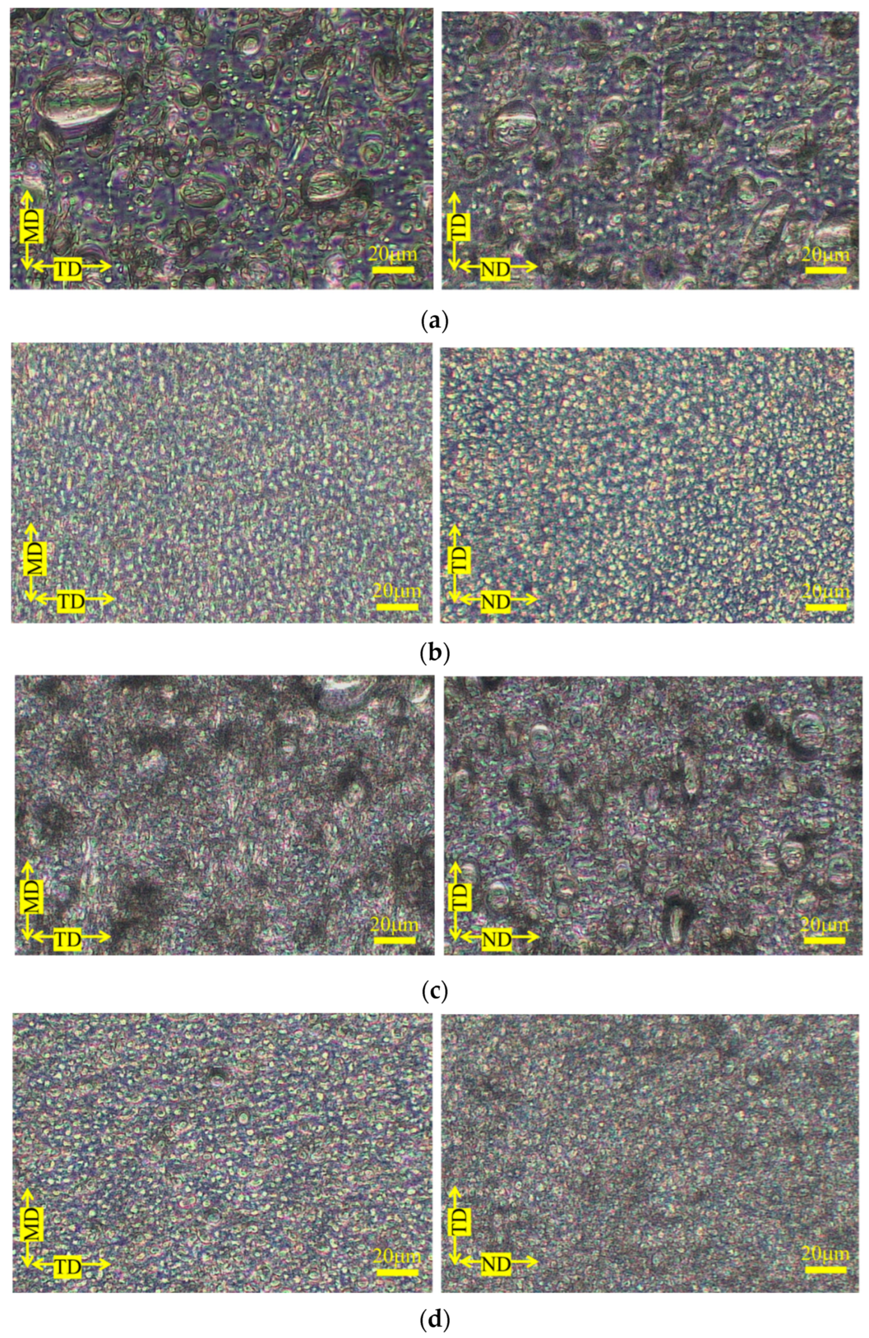 Polymers 15 04167 g004