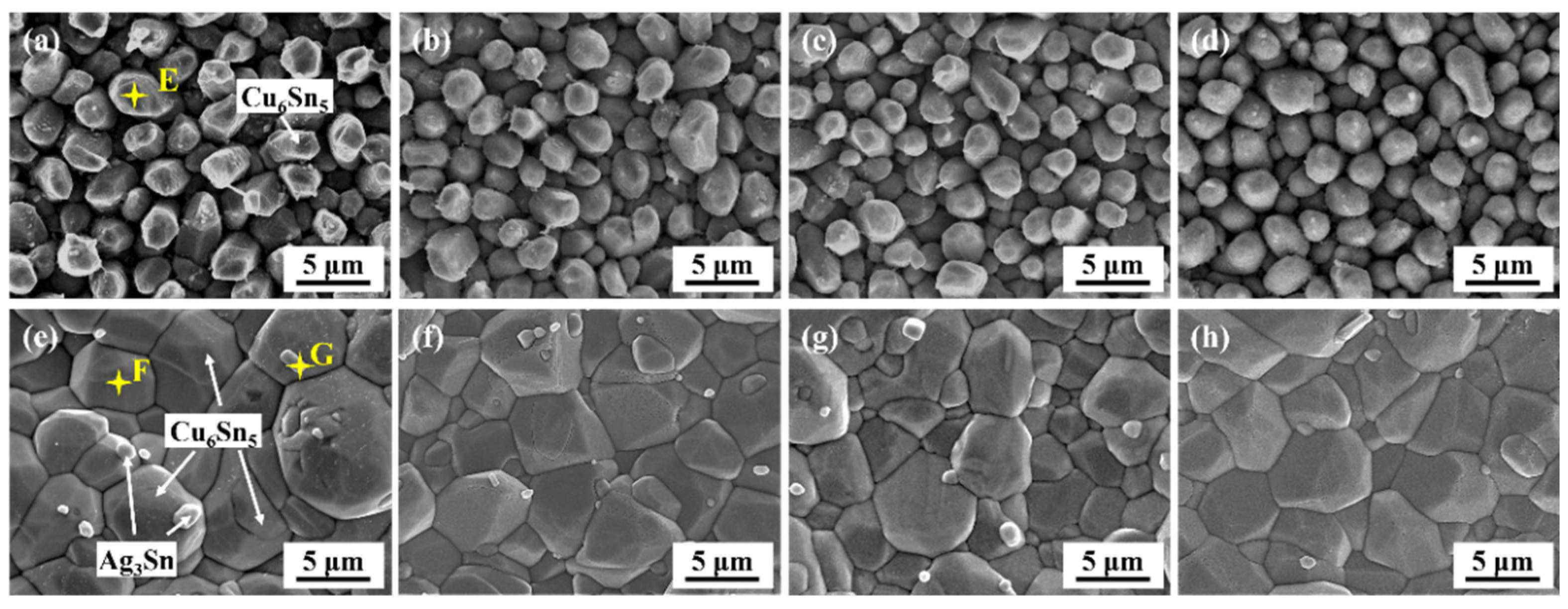 Polymers 15 04168 g006 Polymers 15 04168 g006