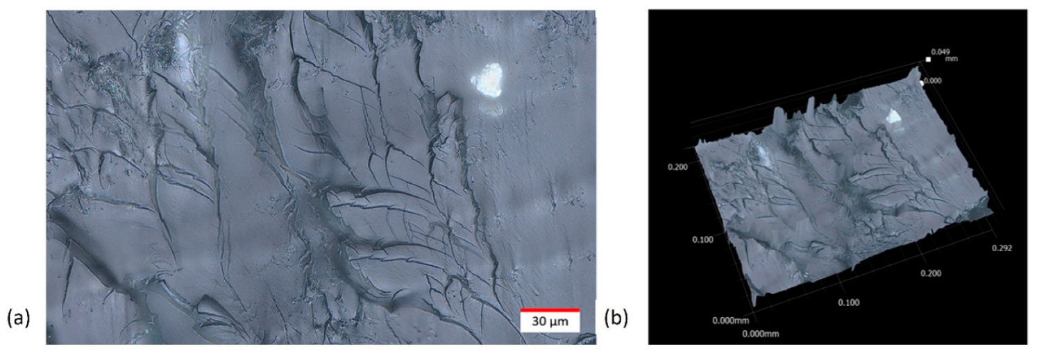 Polymers 15 04170 g007