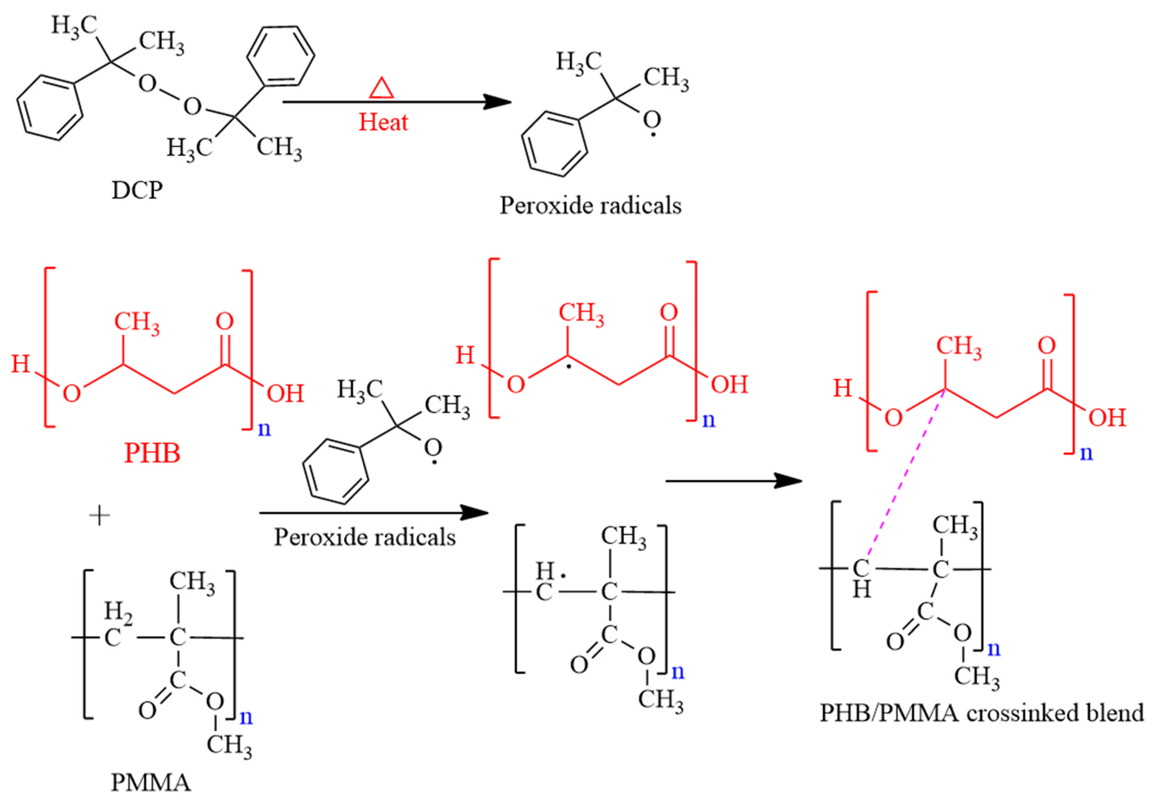 Polymers 15 04173 g001