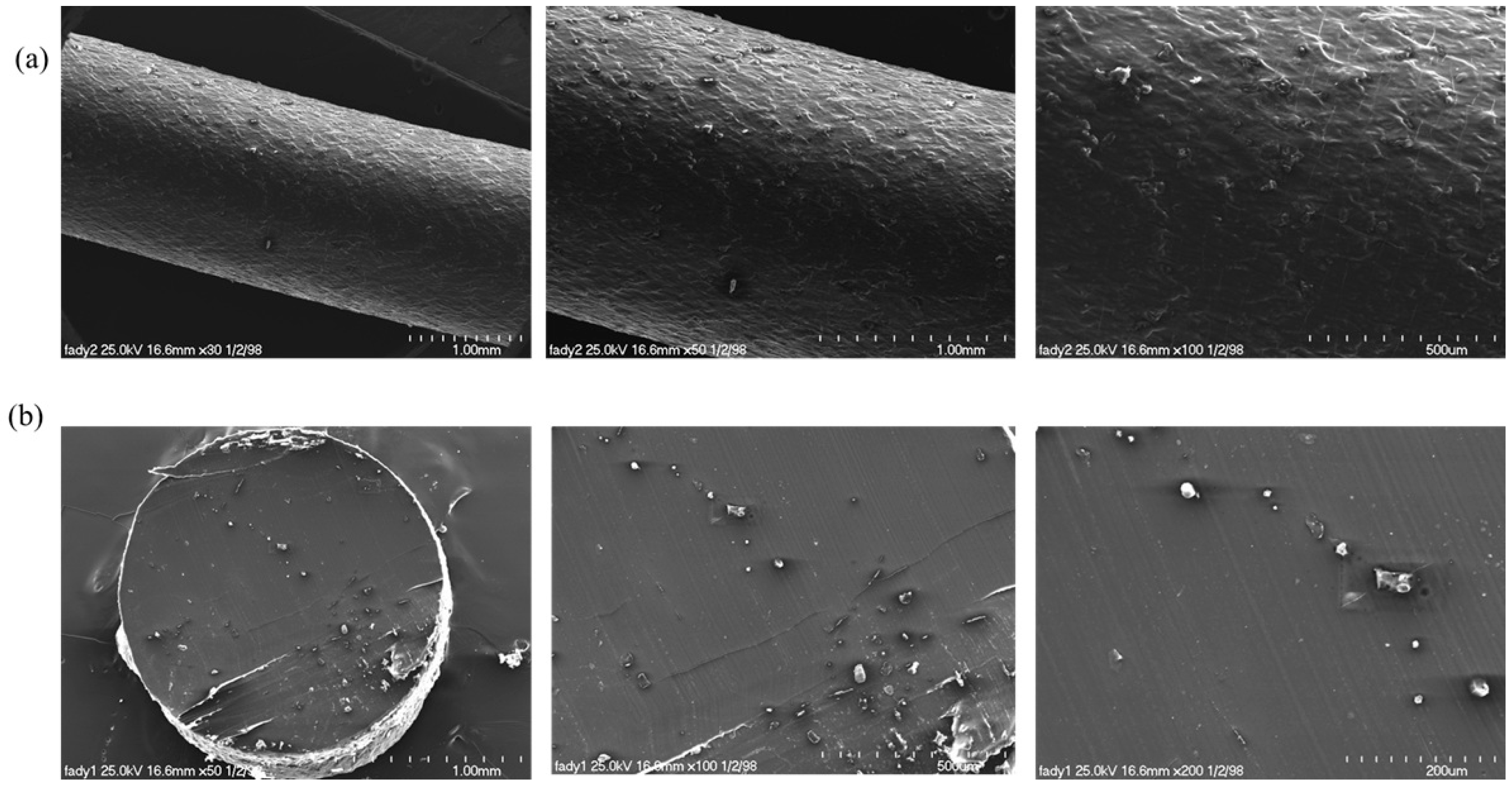 Polymers 15 04173 g007