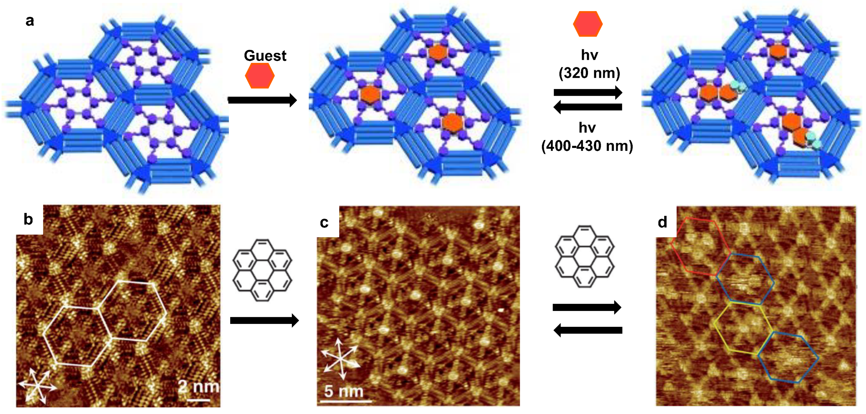 Polymers 15 04176 g002
