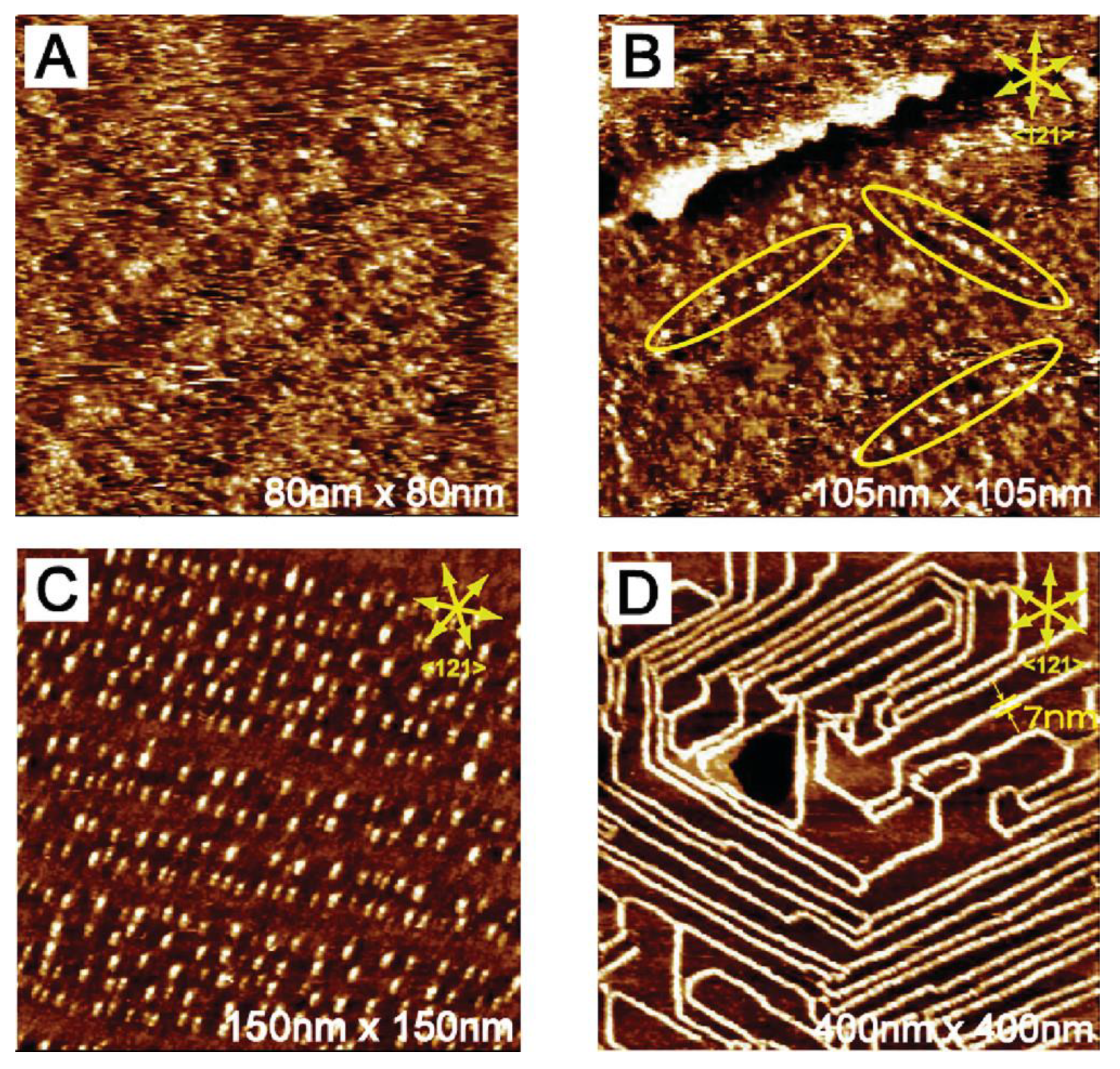 Polymers 15 04176 g003