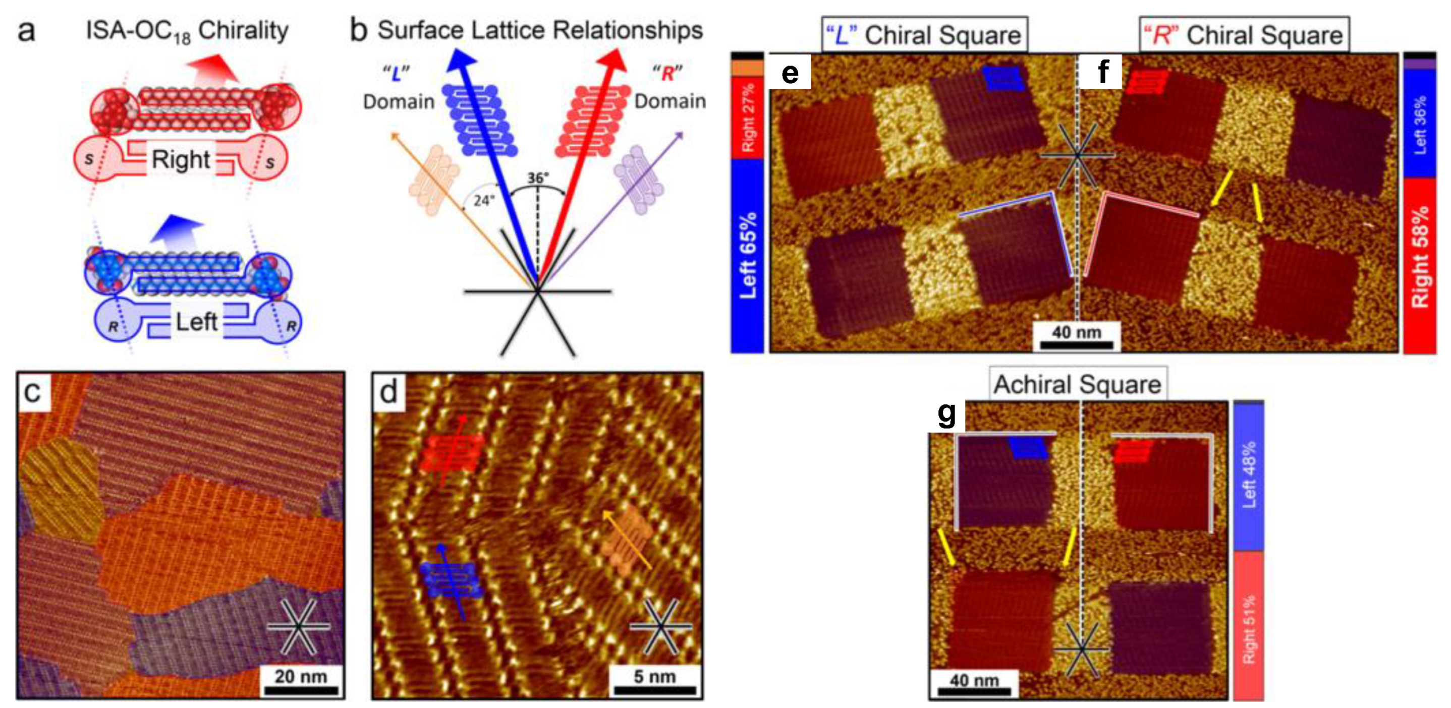 Polymers 15 04176 g005