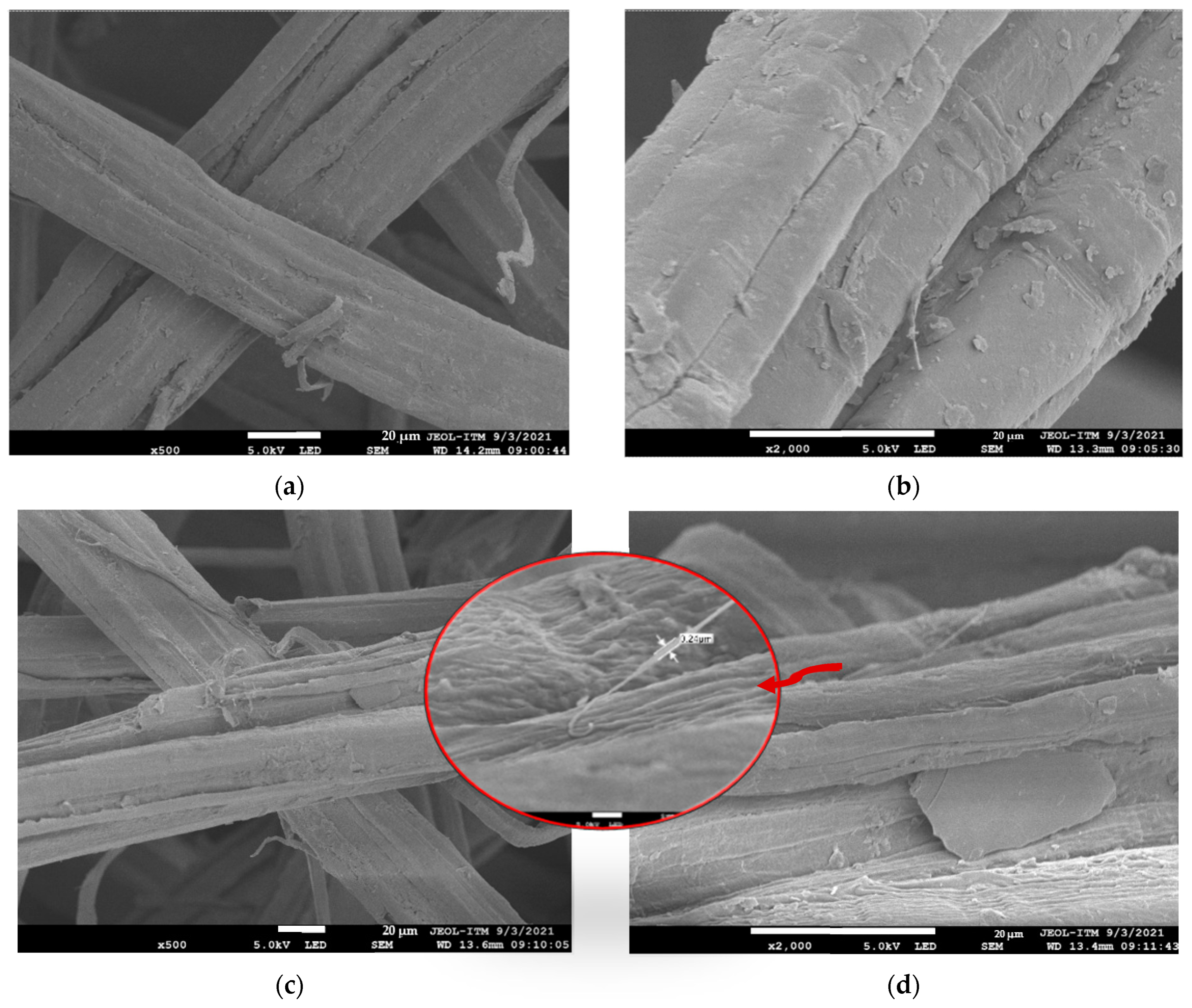 Polymers 15 04183 g001