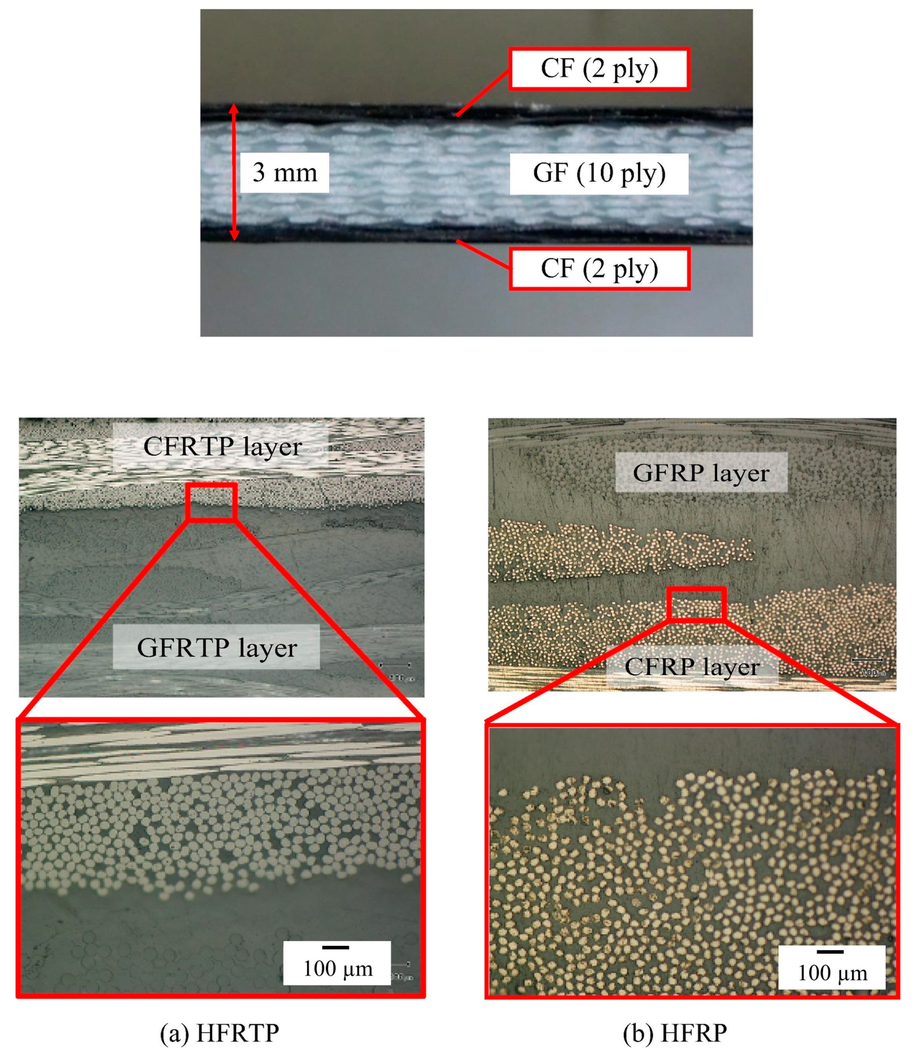 Polymers 15 04192 g009