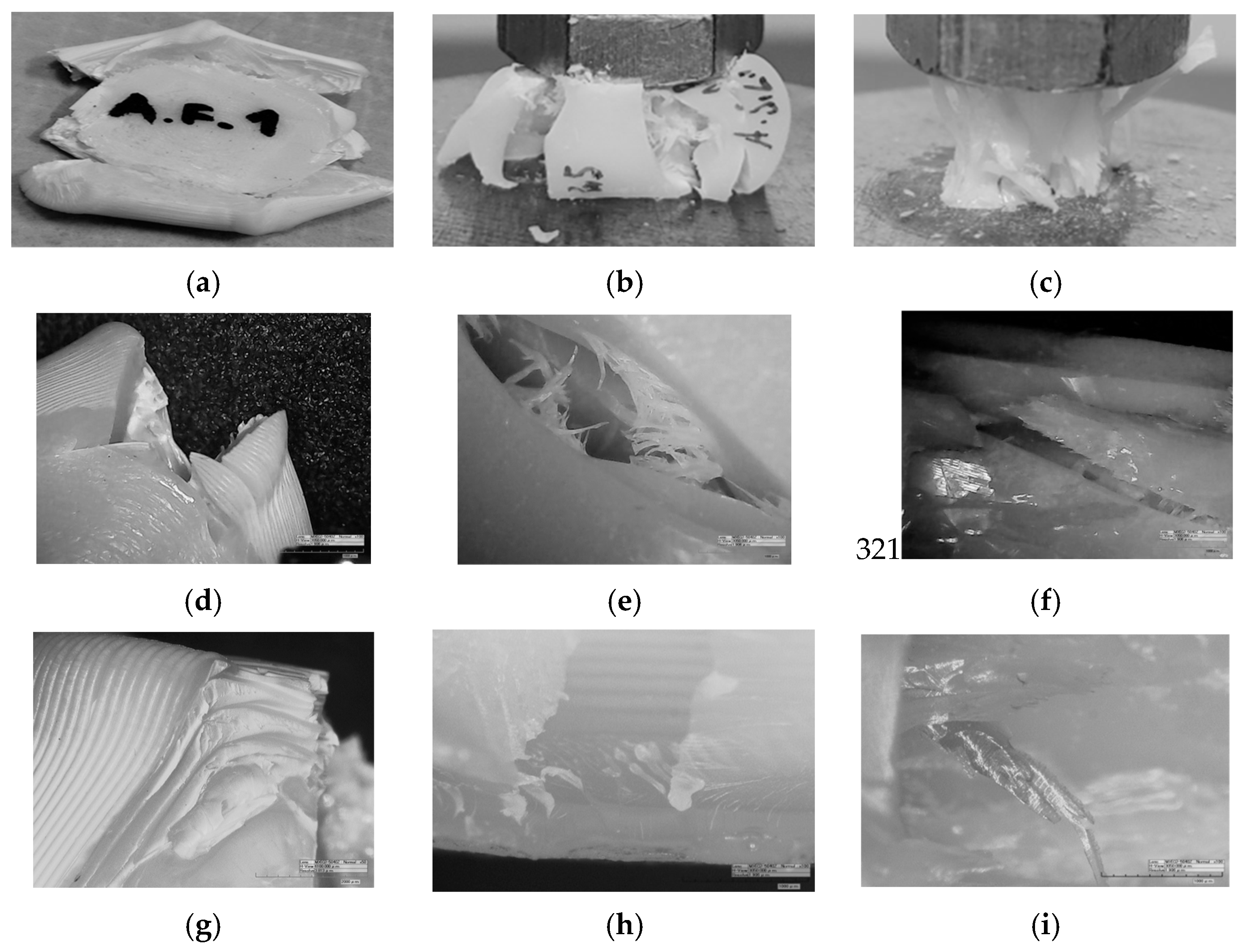 Polymers 15 04197 g007