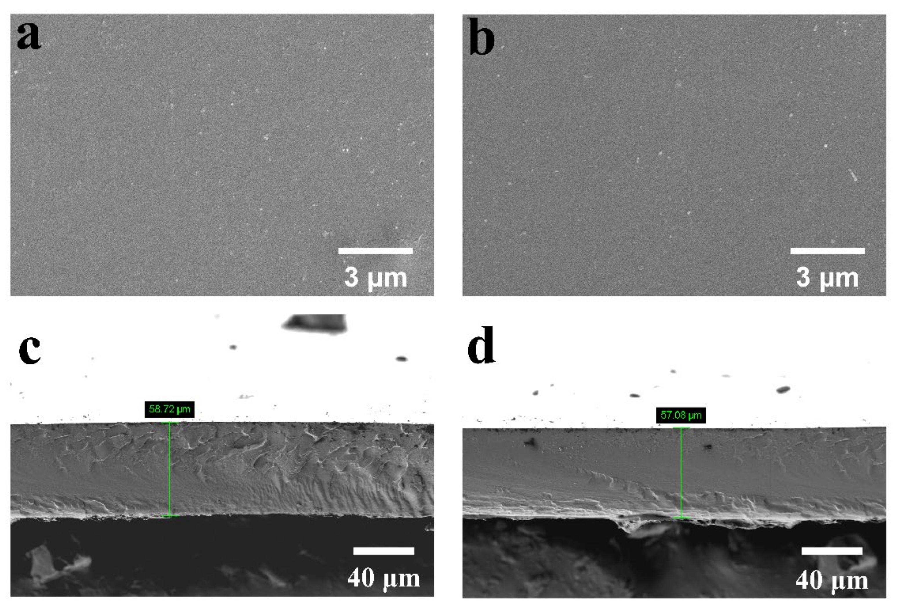 Polymers 15 04198 g002