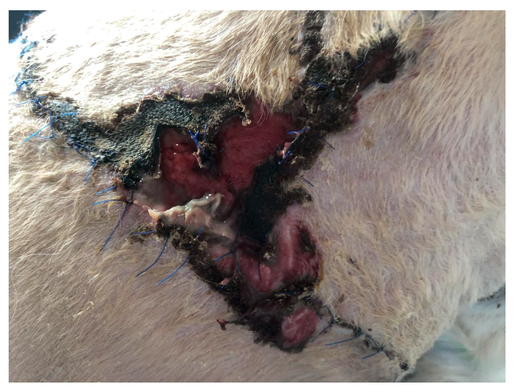 Polymers 15 04201 g001