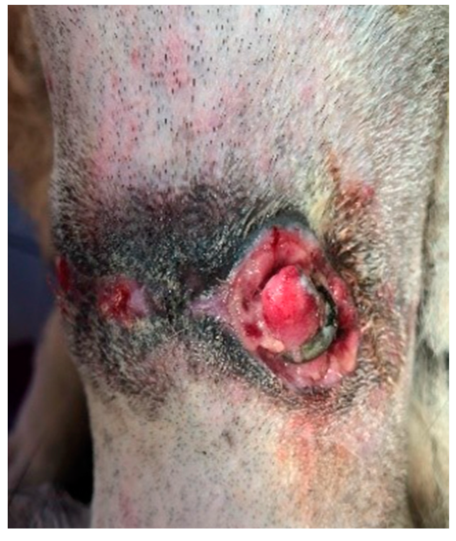 Polymers 15 04201 g002