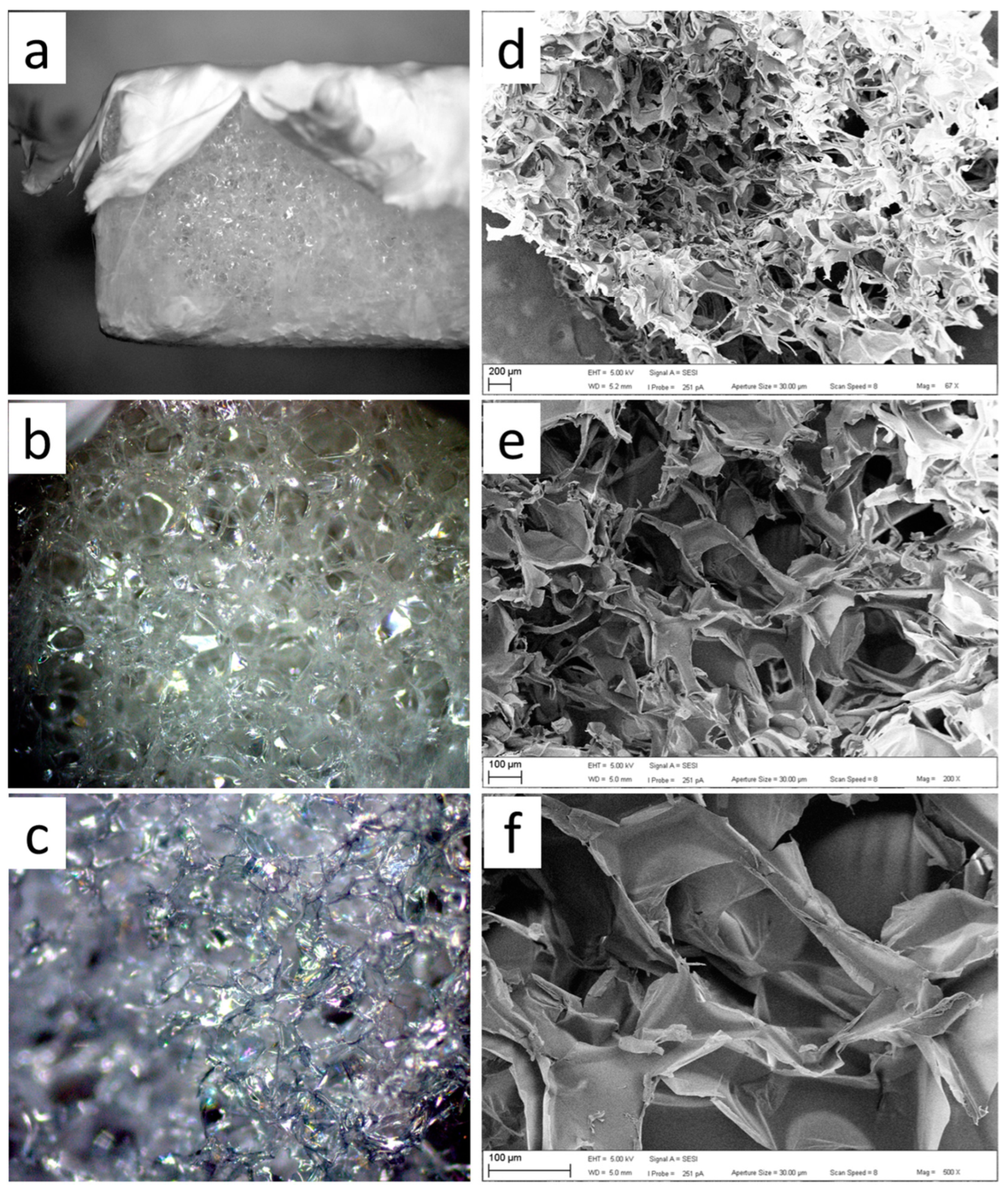 Polymers 15 04201 g005