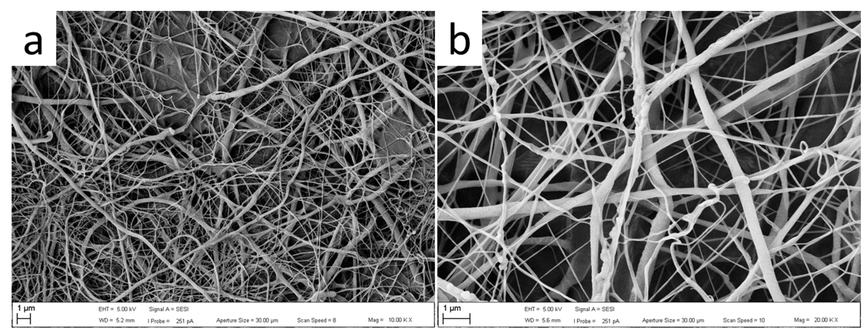 Polymers 15 04201 g006