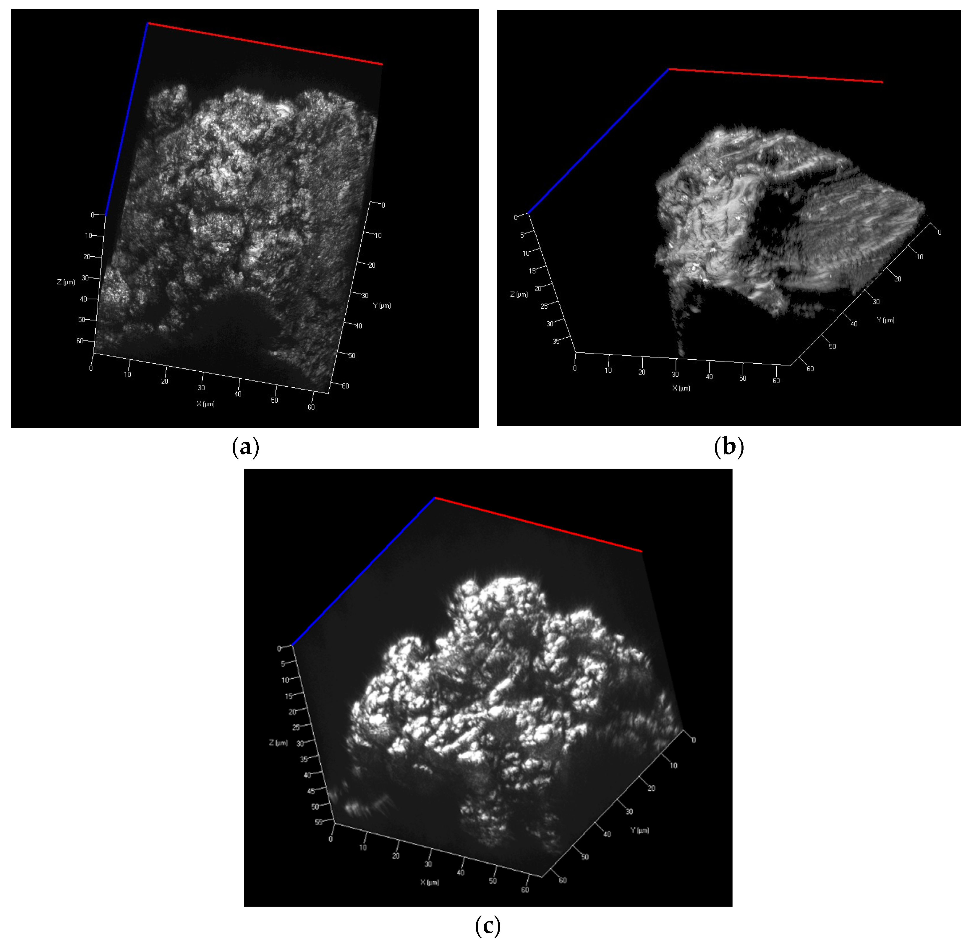 Polymers 15 04203 g001