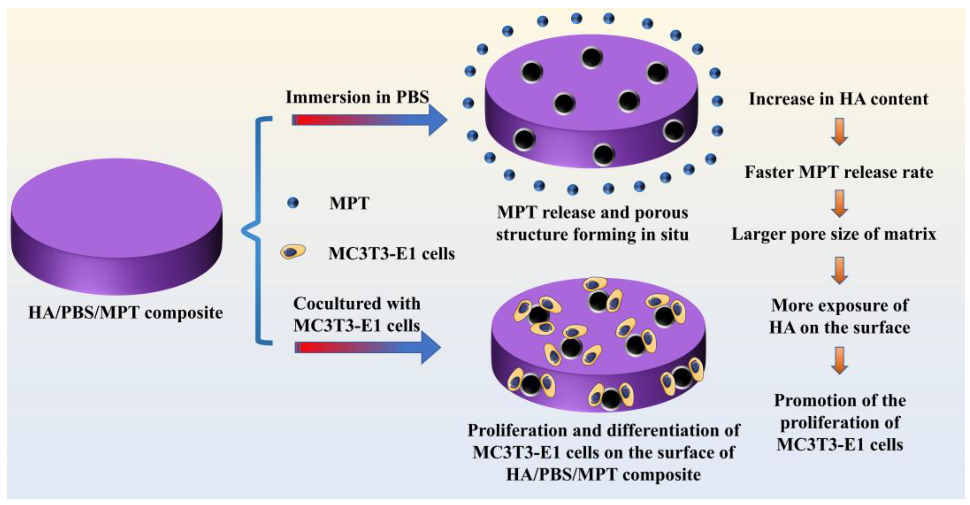Polymers 15 04205 g001