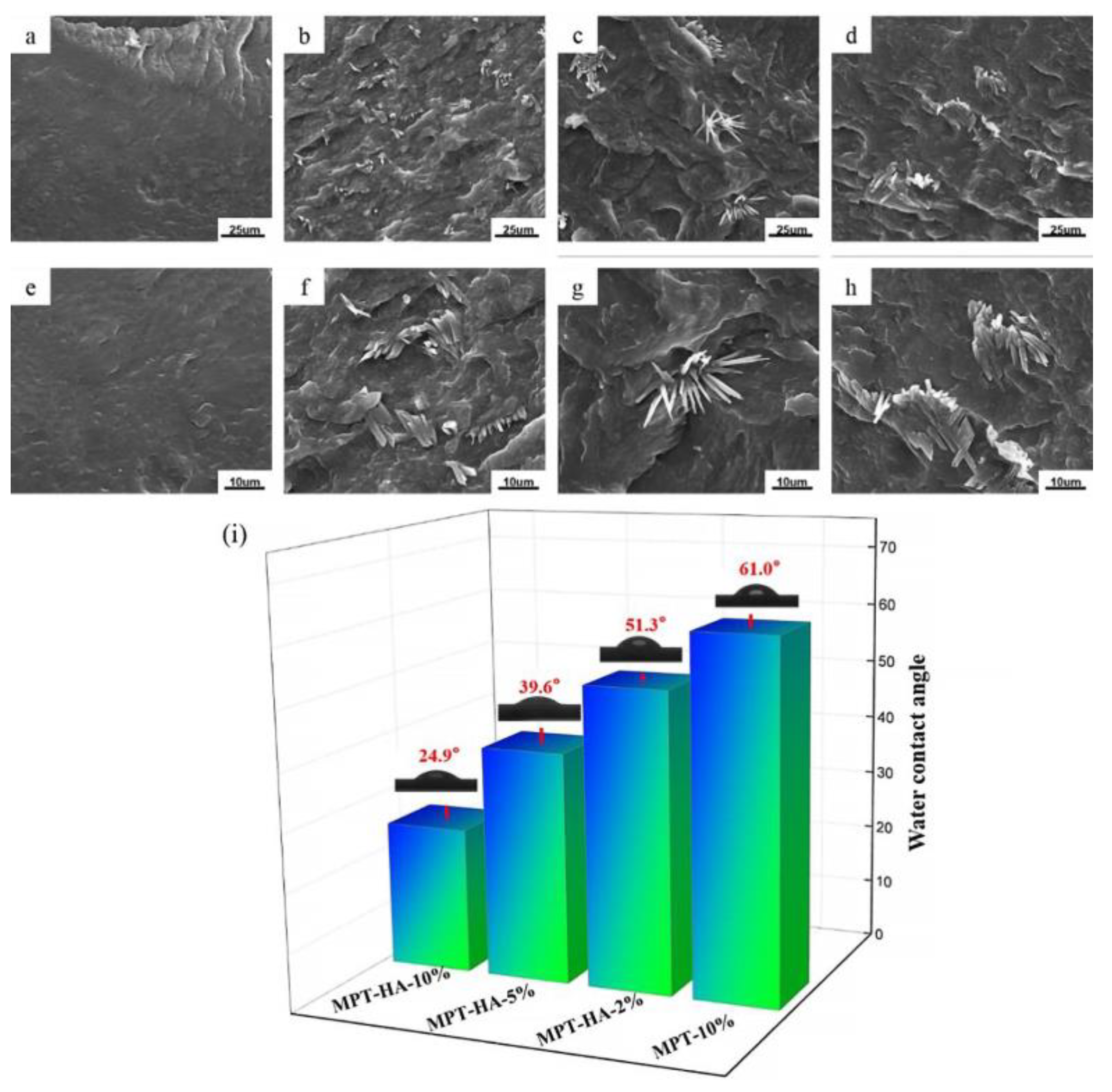 Polymers 15 04205 g003