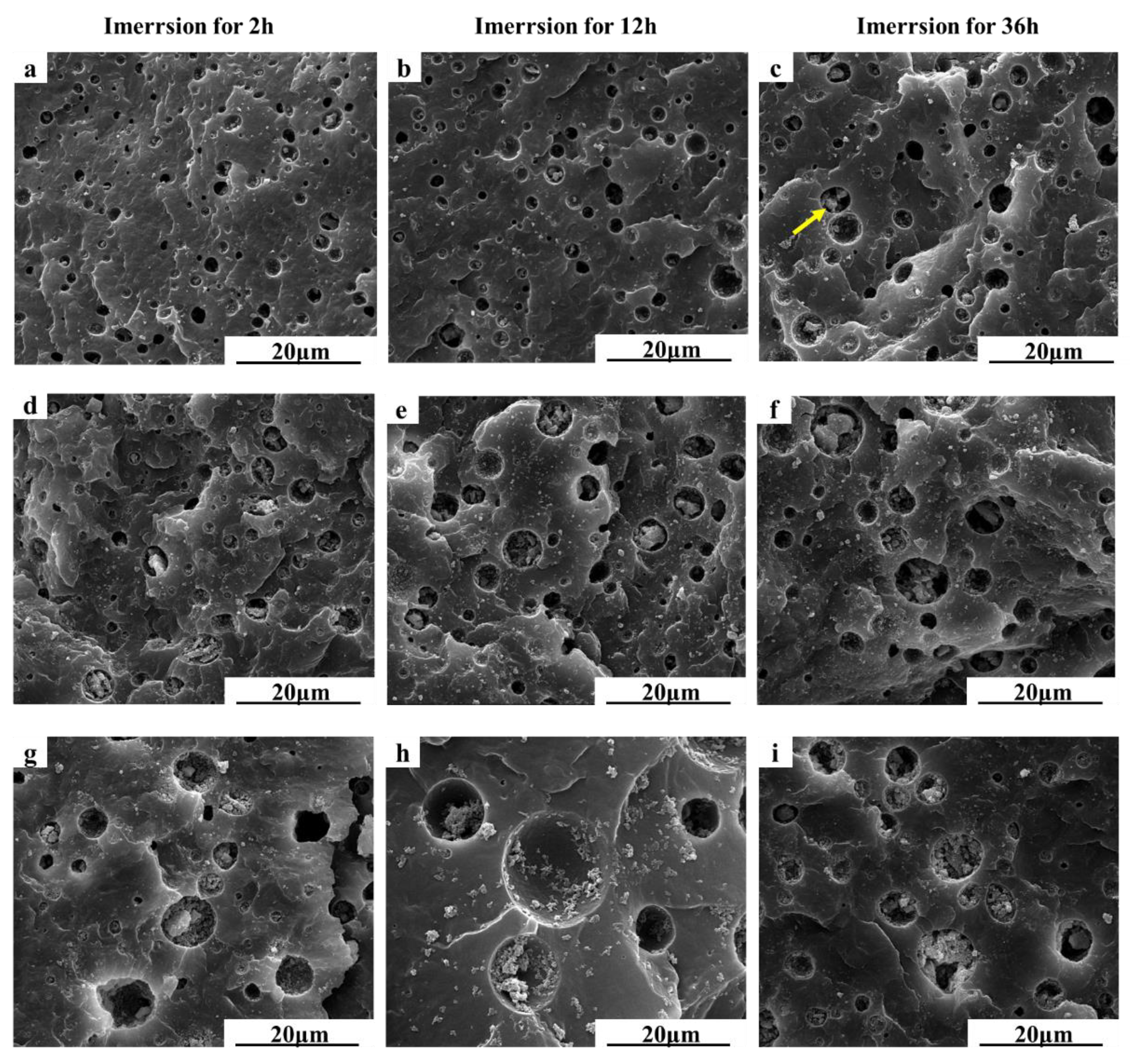 Polymers 15 04205 g006