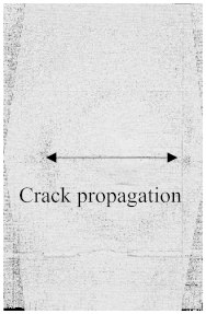 Polymers 15 04209 i001