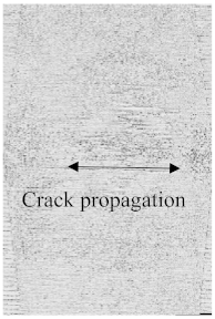 Polymers 15 04209 i004
