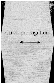 Polymers 15 04209 i005
