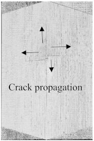 Polymers 15 04209 i008
