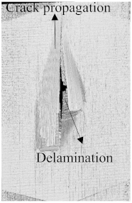 Polymers 15 04209 i010