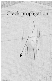Polymers 15 04209 i011