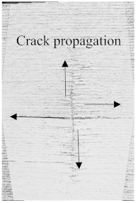 Polymers 15 04209 i012