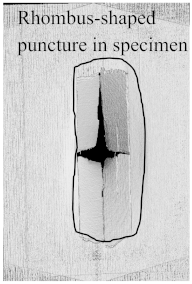 Polymers 15 04209 i013
