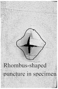 Polymers 15 04209 i015