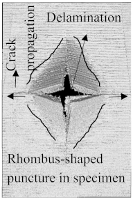Polymers 15 04209 i016