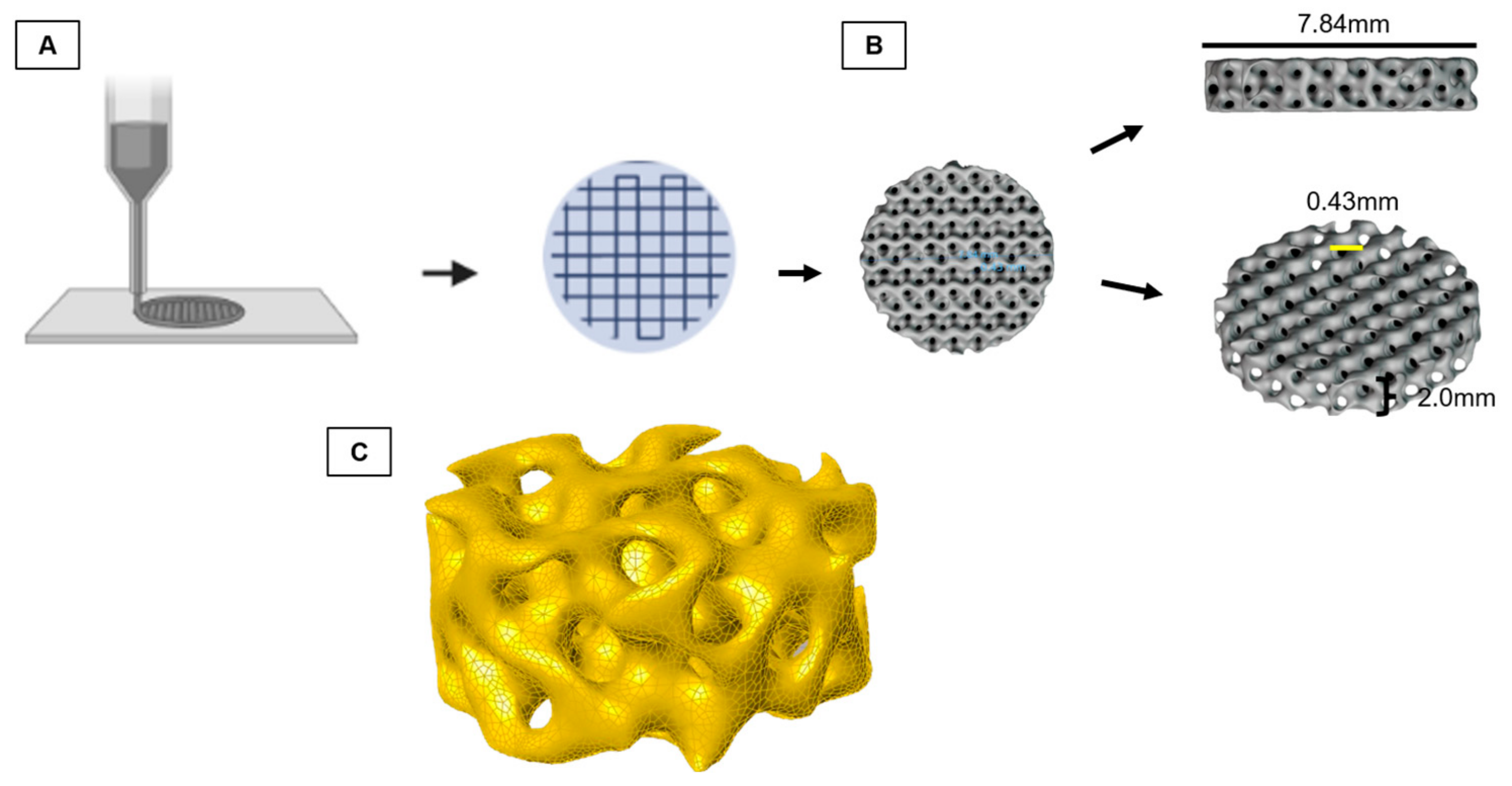 Polymers 15 04213 g001 Polymers 15 04213 g001