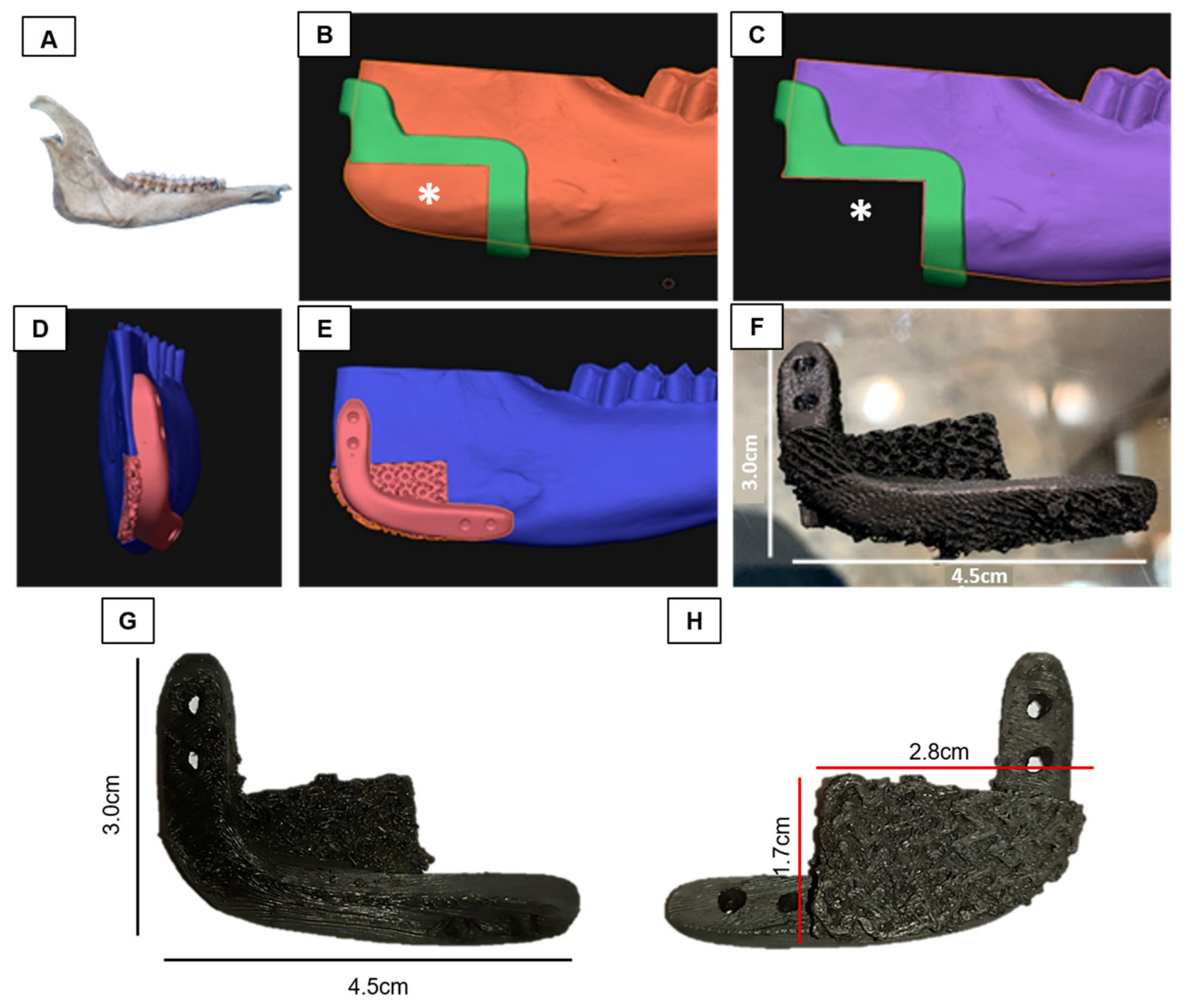 Polymers 15 04213 g002 Polymers 15 04213 g002