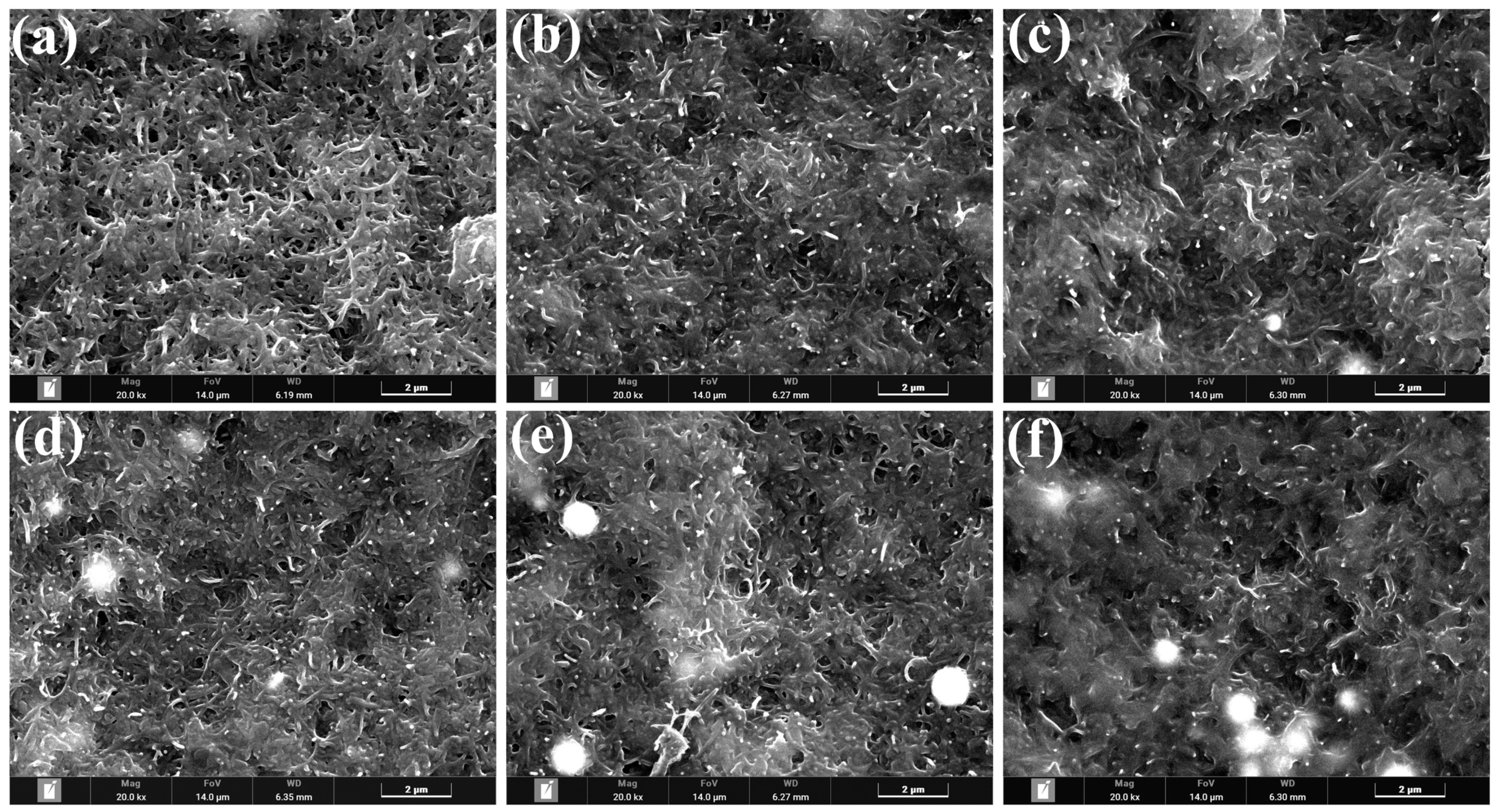 Polymers 15 04214 g004