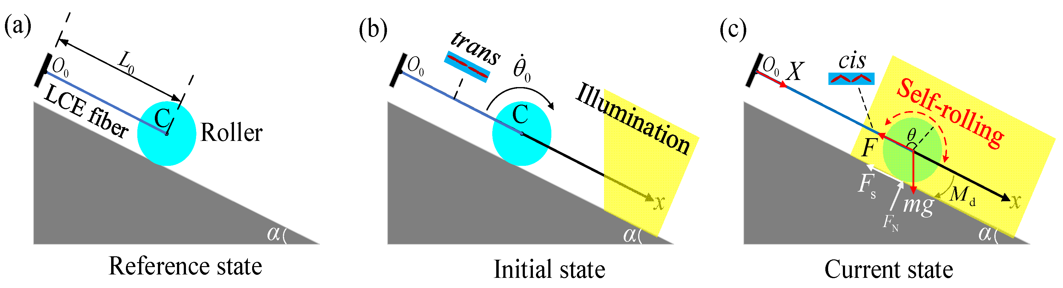 Polymers 15 04221 g002